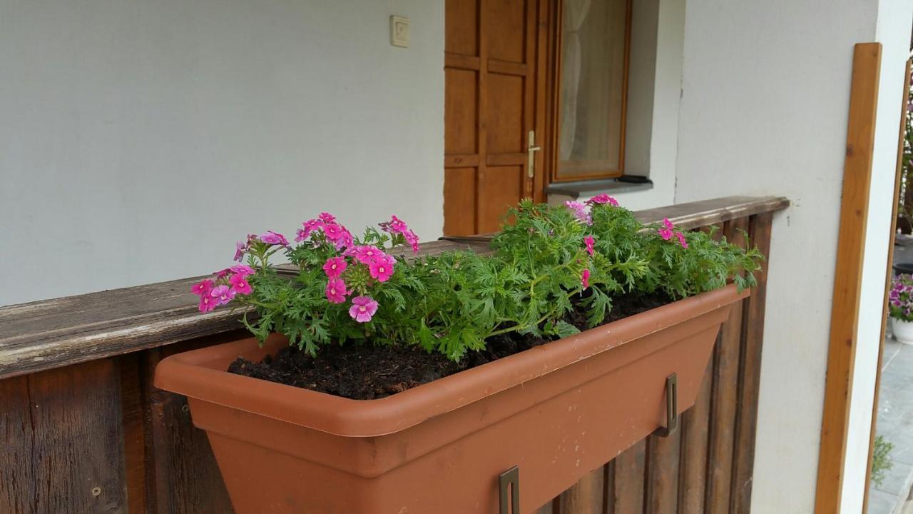 Elo Tisza Vendeghaz Hotel Nagykoru Exterior photo