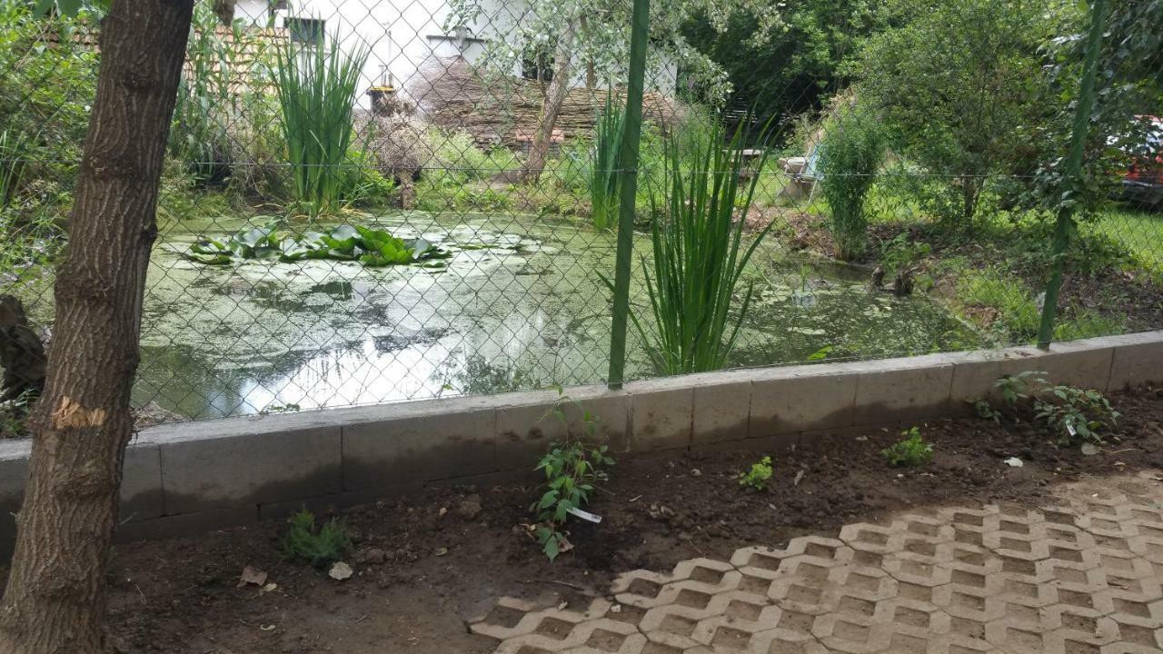 Elo Tisza Vendeghaz Hotel Nagykoru Exterior photo